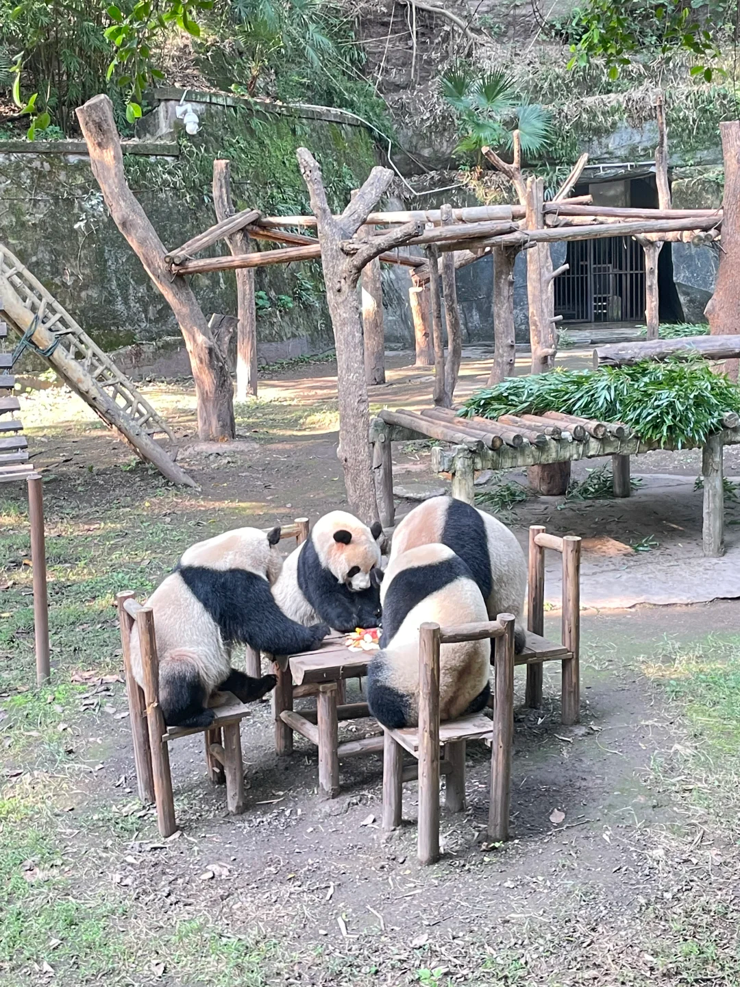 image-20250729115916298