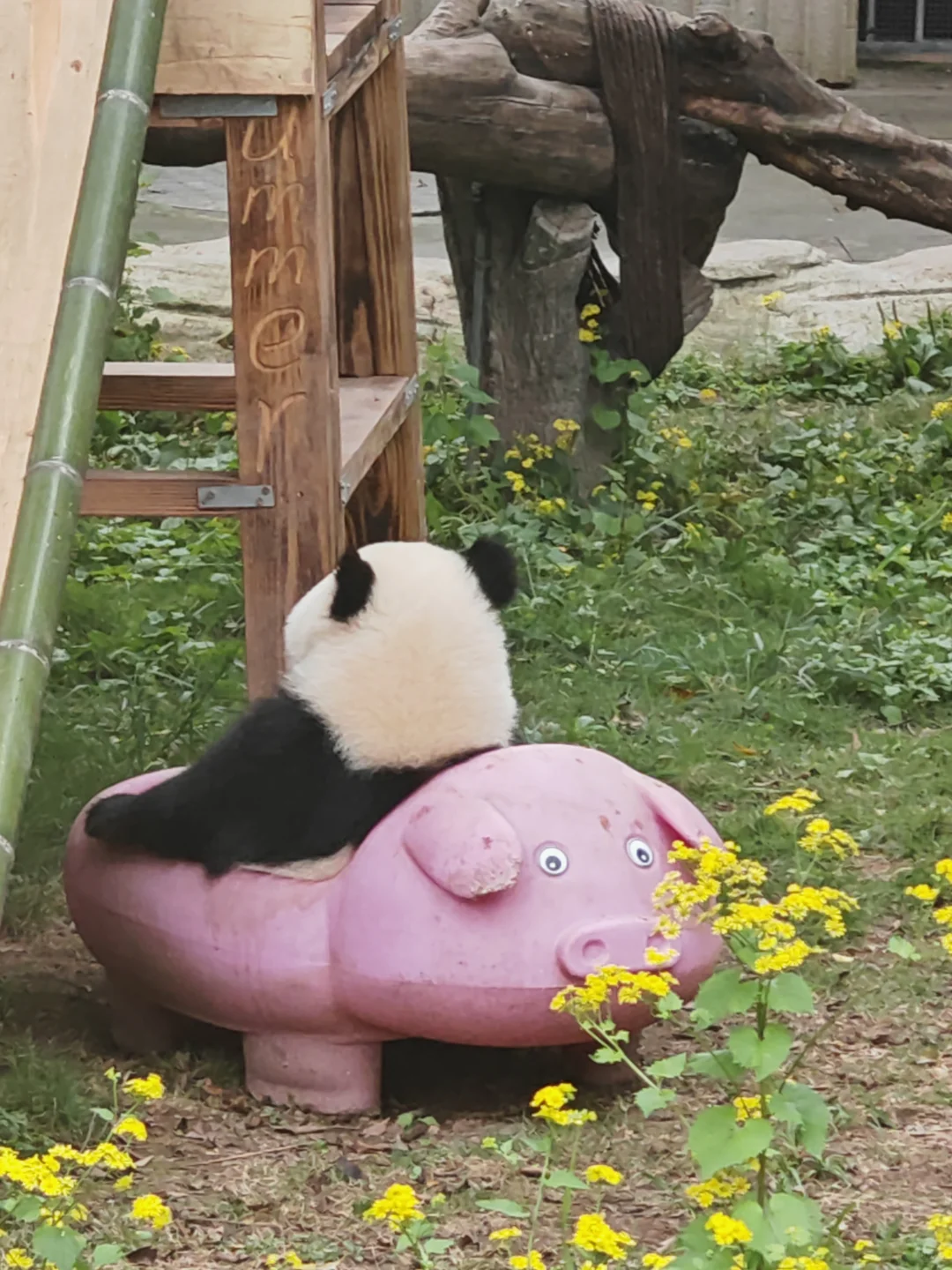 image-20250729120014840