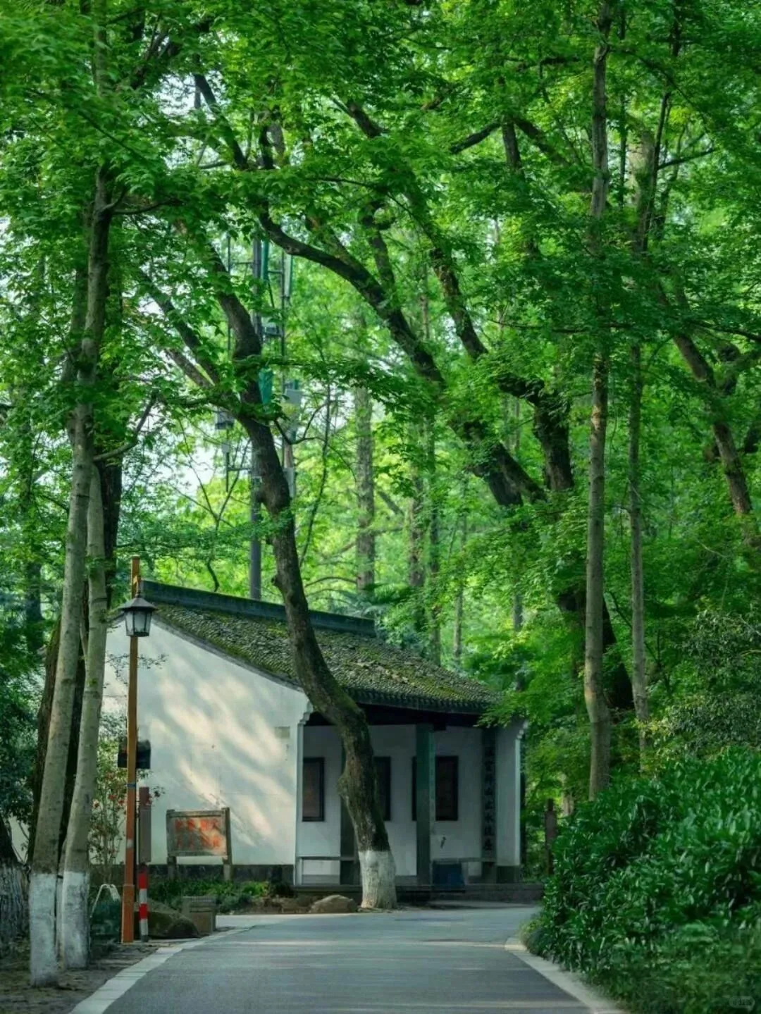 A Local’s 2-Day Hangzhou Itinerary 🏯🍵 | Insider Tips You Can’t Miss!