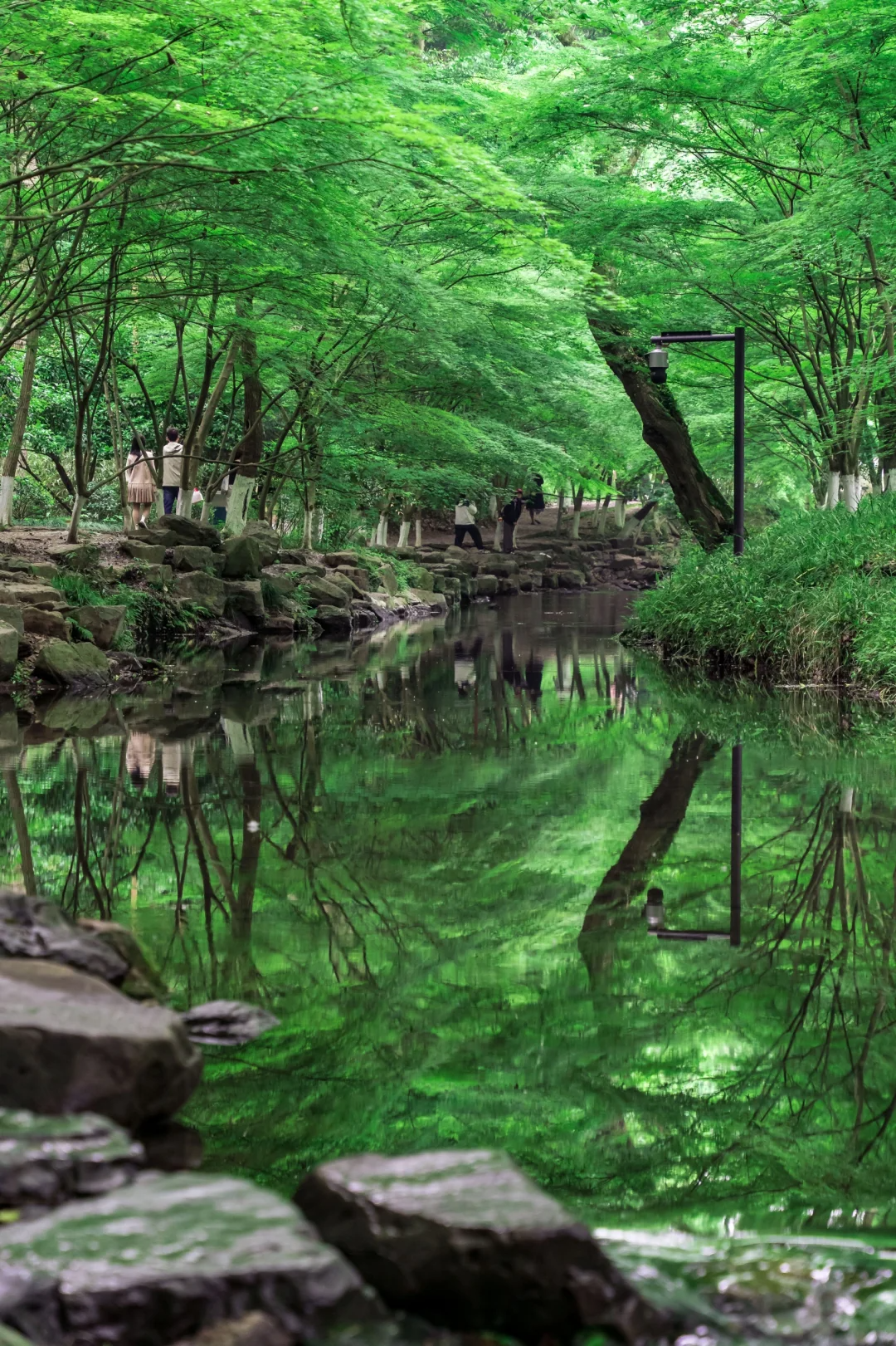 This is How You Should Hike Jiu Xi (Nine brooks) 🚶♀️ |Hangzhou Hiking